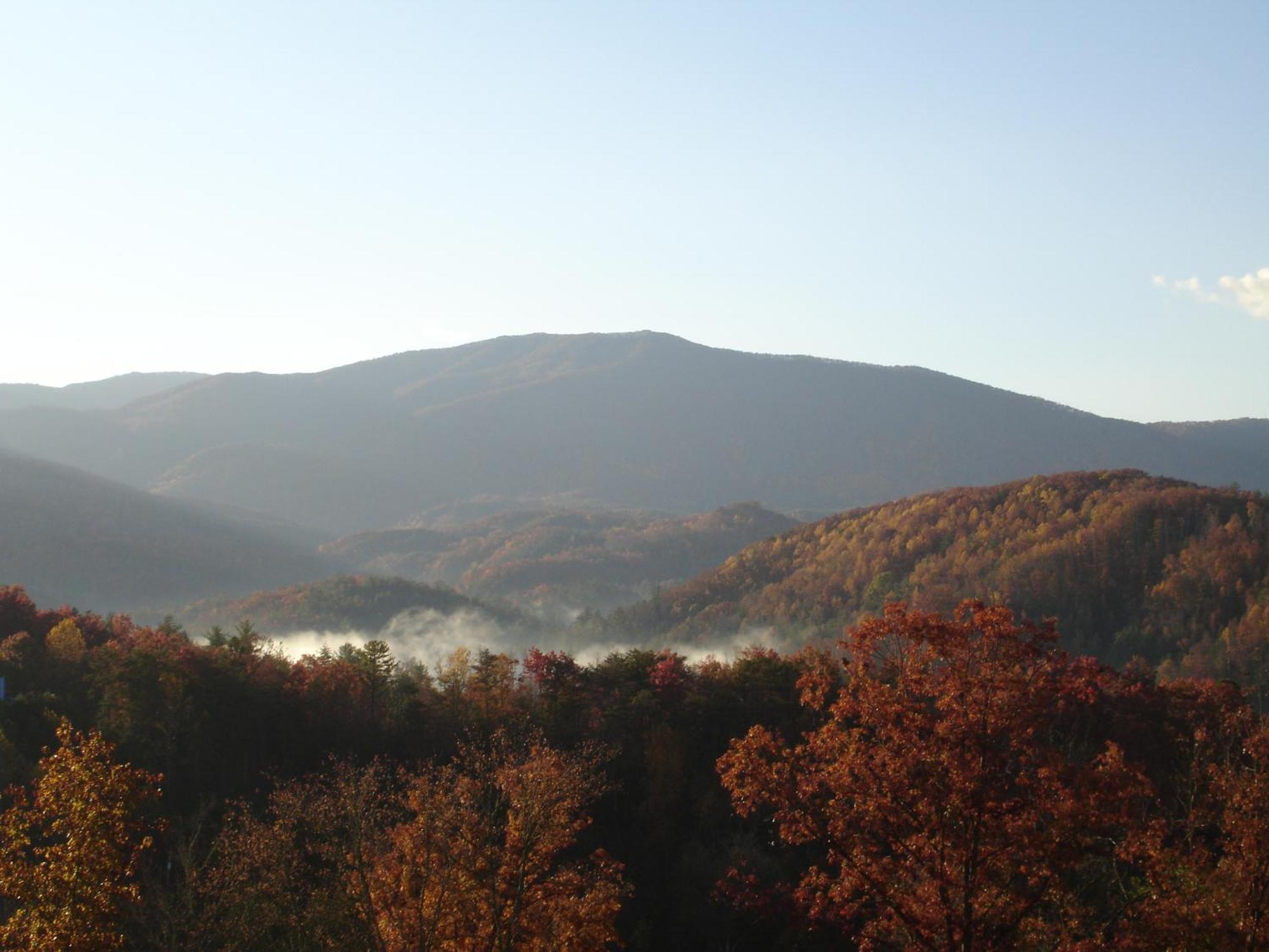 Stairway To Heaven, Breathtaking Mtn Views Indoor Pool & Hot Tub Apartment Gatlinburg Ngoại thất bức ảnh