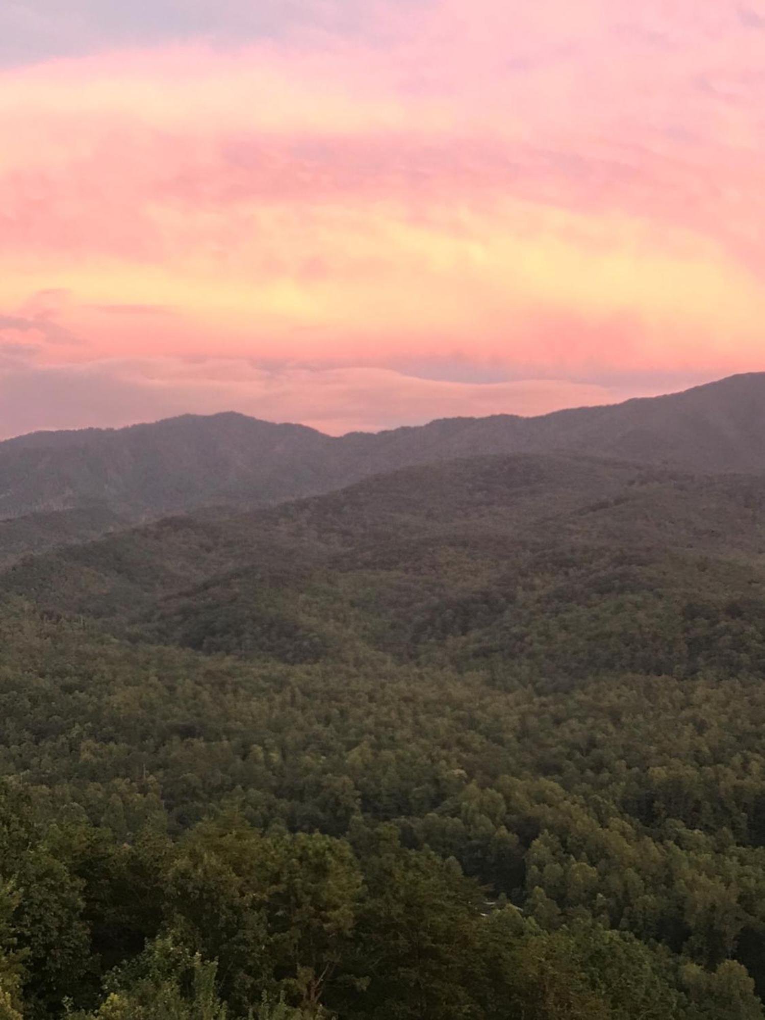 Stairway To Heaven, Breathtaking Mtn Views Indoor Pool & Hot Tub Apartment Gatlinburg Ngoại thất bức ảnh